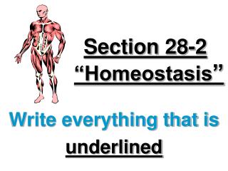 Section 28-2 “Homeostasis ”
