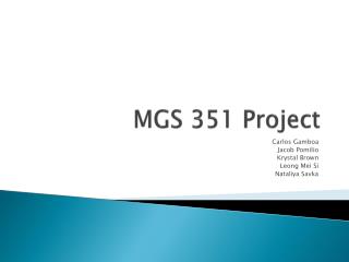 MGS 351 Project