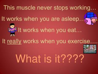 This muscle never stops working… It works when you are asleep… It works when you eat…