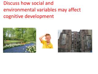 Discuss how social and environmental variables may affect cognitive development