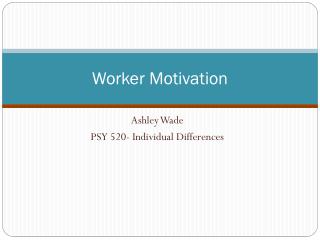 Worker Motivation