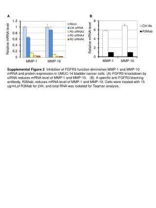 Relative mRNA level