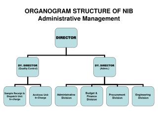 ORGANOGRAM STRUCTURE OF NIB Administrative Management