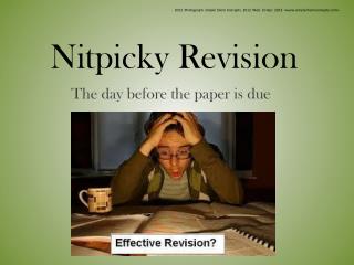 Nitpicky Revision