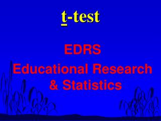 t -test