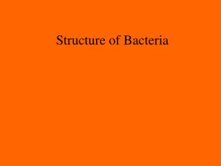 Structure of Bacteria