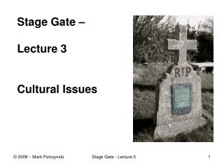 Stage Gate – Lecture 3 Cultural Issues