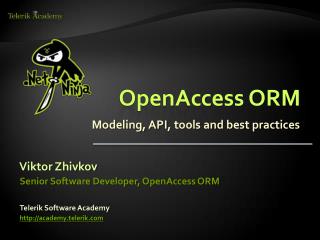 OpenAccess ORM