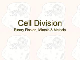 Cell Division Binary Fission, Mitosis &amp; Meiosis