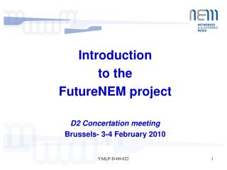 Introduction to the FutureNEM project D2 Concertation meeting Brussels- 3-4 February 2010