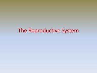 The Reproductive System