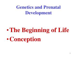 Genetics and Prenatal Development