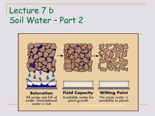 Lecture 7 b Soil Water – Part 2