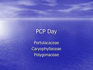 PCP Day