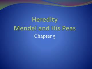 Heredity Mendel and His Peas