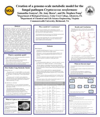 Results and Conclusions