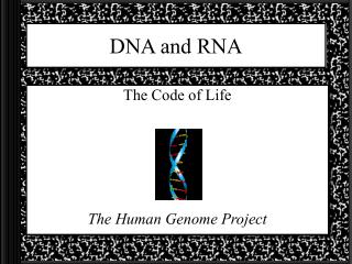 DNA and RNA