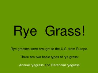 Rye Grass!