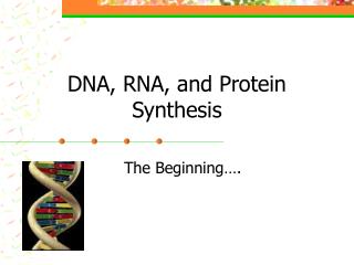 DNA, RNA, and Protein Synthesis