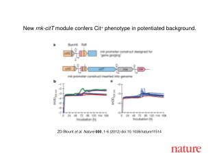 ZD Blount et al. Nature 000 , 1-6 (2012) doi:10.1038/nature11514