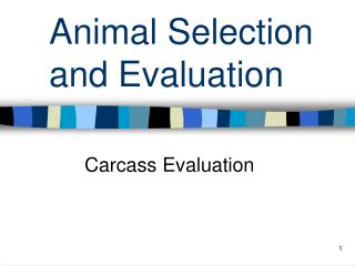 Animal Selection and Evaluation