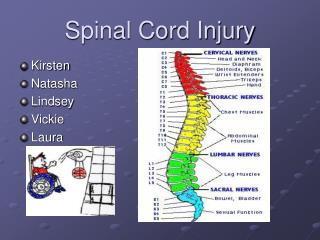 Spinal Cord Injury