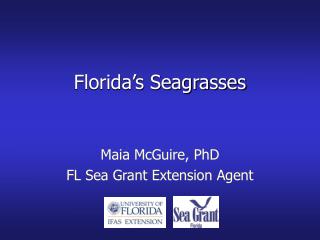 Florida’s Seagrasses