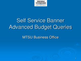 Self Service Banner Advanced Budget Queries