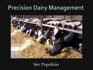 Precision Dairy Management