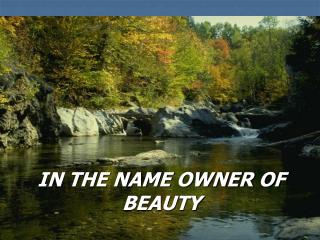 IN THE NAME OWNER OF BEAUTY