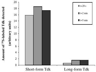 Short-form Tdk