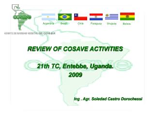 REVIEW OF COSAVE ACTIVITIES 21th TC, Entebbe, Uganda. 2009 Ing . Agr. Soledad Castro Dorochessi