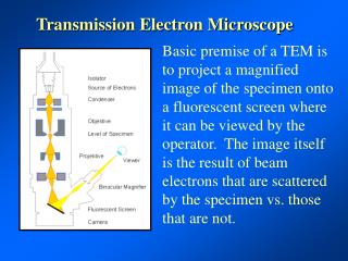 Transmission Electron Microscope