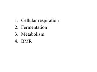 Cellular respiration Fermentation Metabolism BMR