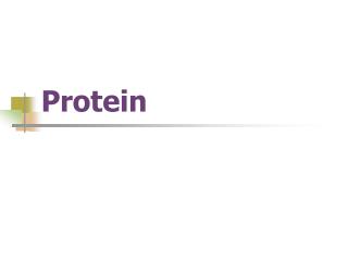 Protein