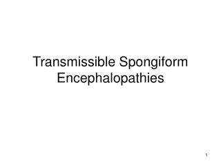 Transmissible Spongiform Encephalopathies