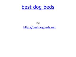 best dog beds