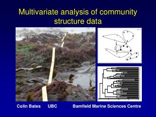 Multivariate analysis of community structure data