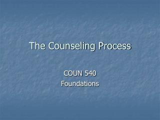 The Counseling Process