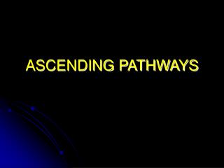 ASCENDING PATHWAYS