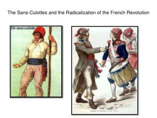 The Sans-Culottes and the Radicalization of the French Revolution
