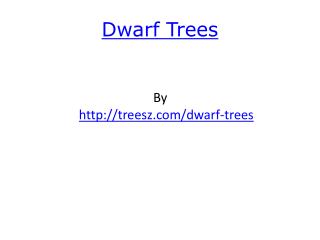 Dwarf Trees