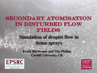 Secondary Atomisation in Disturbed Flow Fields