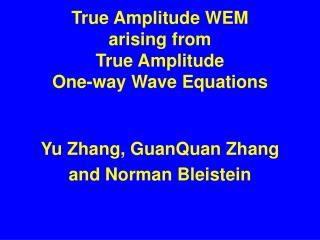 True Amplitude WEM arising from True Amplitude One-way Wave Equations