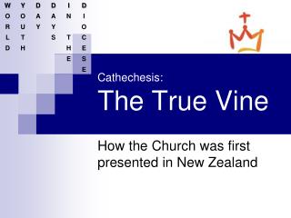 Cathechesis : The True Vine