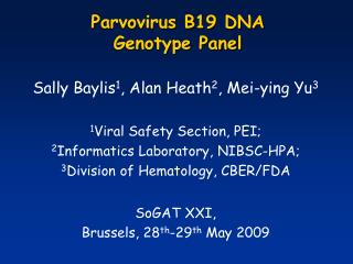 Parvovirus B19 DNA Genotype Panel