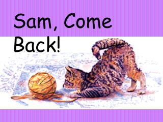 Sam, Come Back!