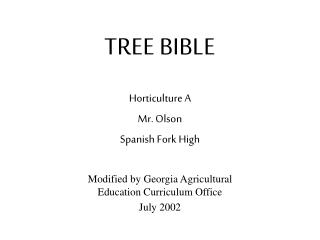 TREE BIBLE