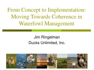 From Concept to Implementation: Moving Towards Coherence in Waterfowl Management