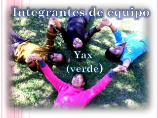 Integrantes de equipo